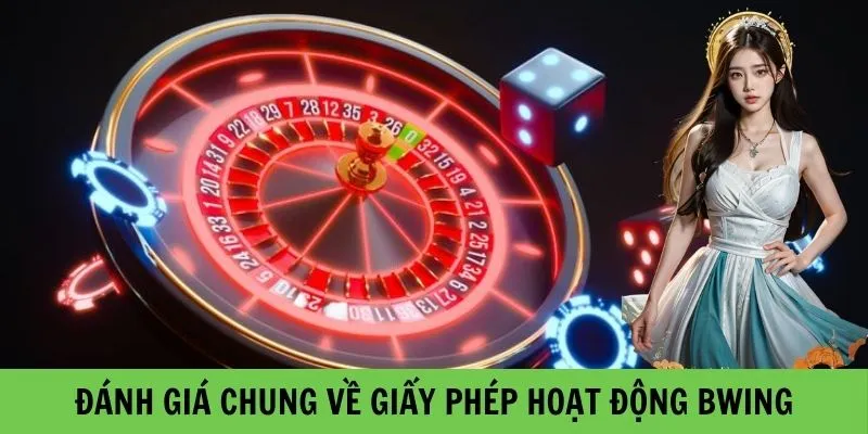 Đánh giá chung về Giấy phép hoạt động Bwing