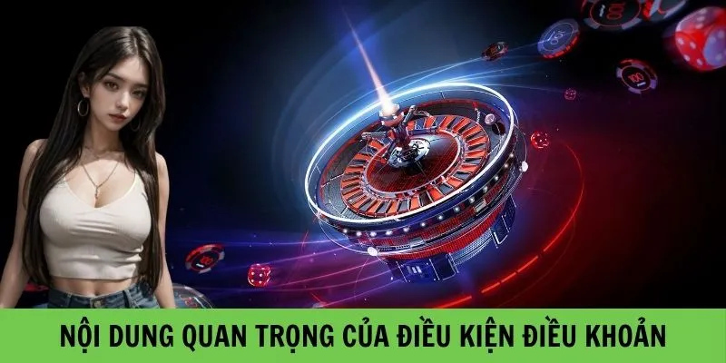 Nội dung quan trọng của Điều kiện điều khoản