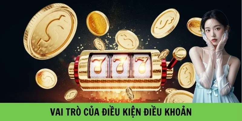 Vai trò của Điều kiện điều khoản